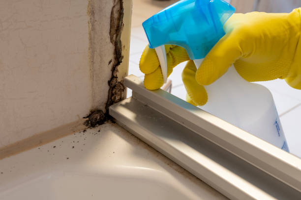 Best Mold Testing and Inspection Services in Fairmont, WV