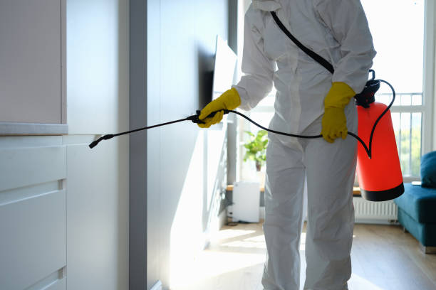 Best Mold Testing and Inspection Services in Fairmont, WV