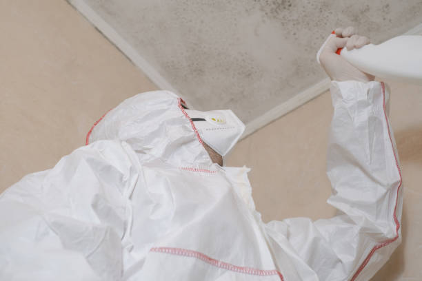 Best HVAC Mold Remediation in Fairmont, WV