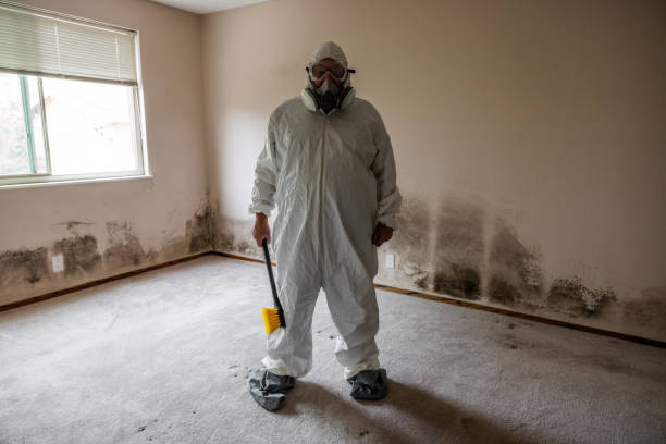 Best Commercial Mold Remediation in Fairmont, WV